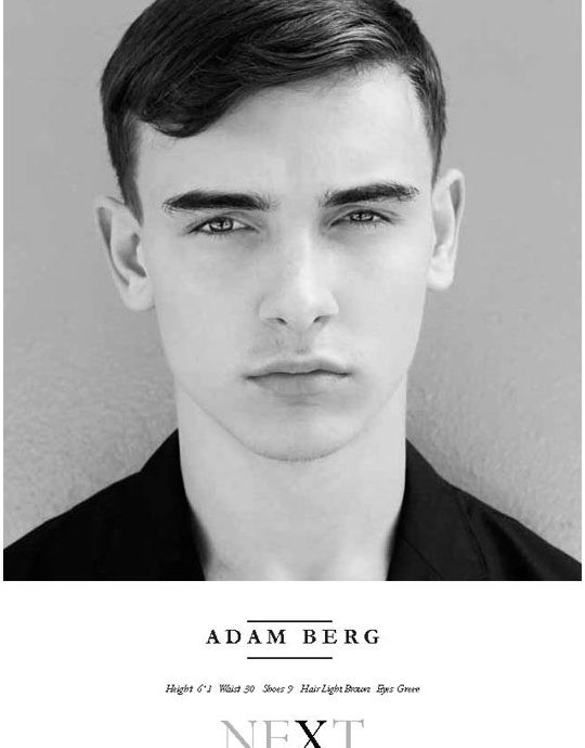 You are currently viewing Adam Berg (Director)