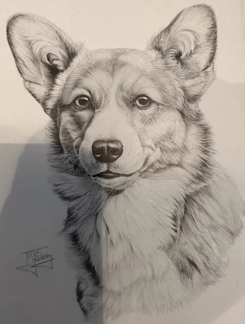 Art the Corgi