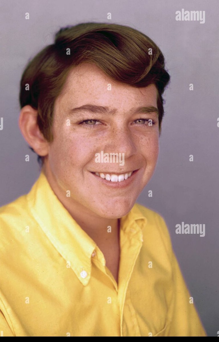 You are currently viewing Barry Williams