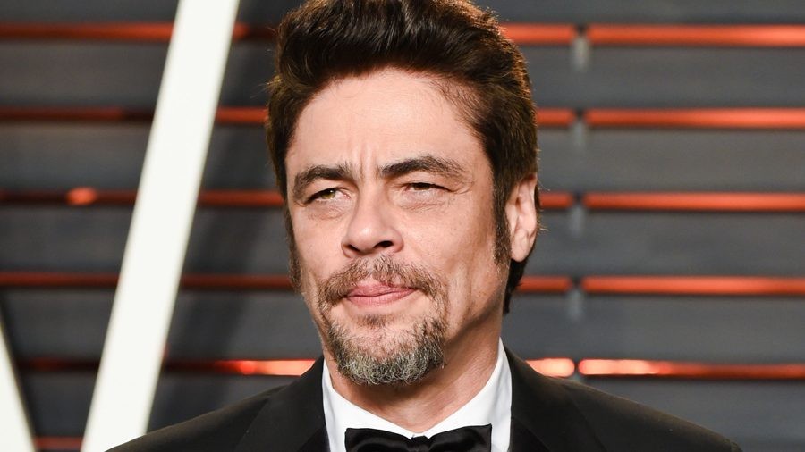 Benicio Del Toro